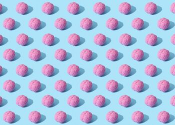 photograph of pink brains on a blue surface